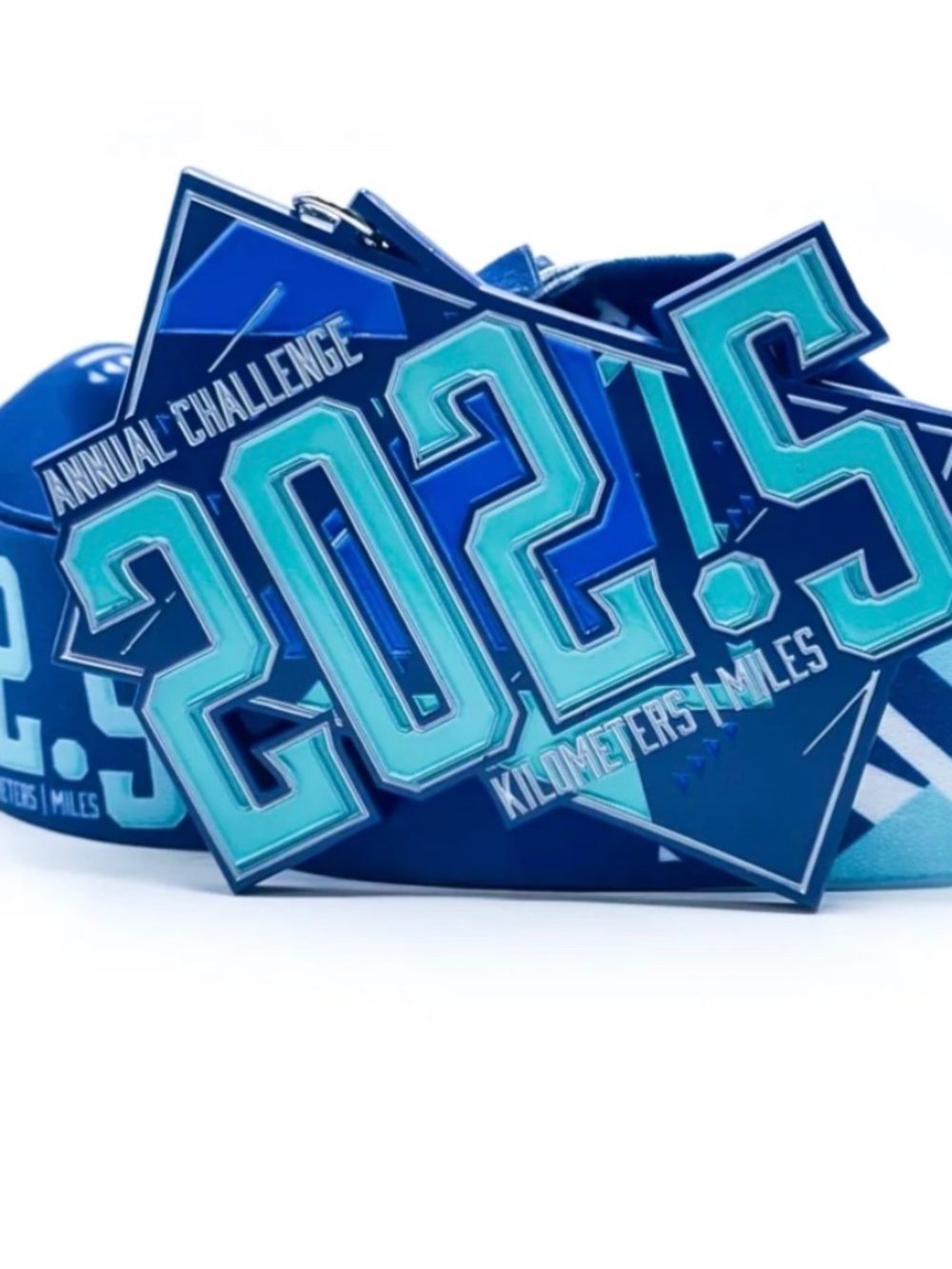 202.5 True North Challenge medal